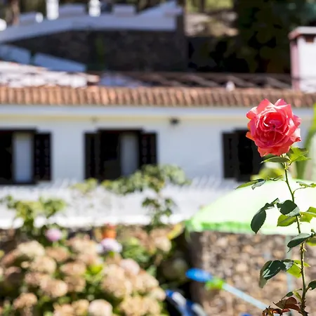 Chalet Home2book Icod Rural Escape Pool Bbq El Amparo